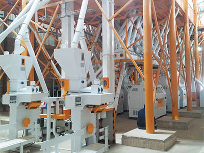 کیس اسٹڈیز
