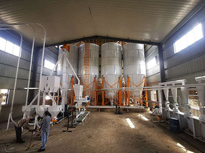 کیس اسٹڈیز